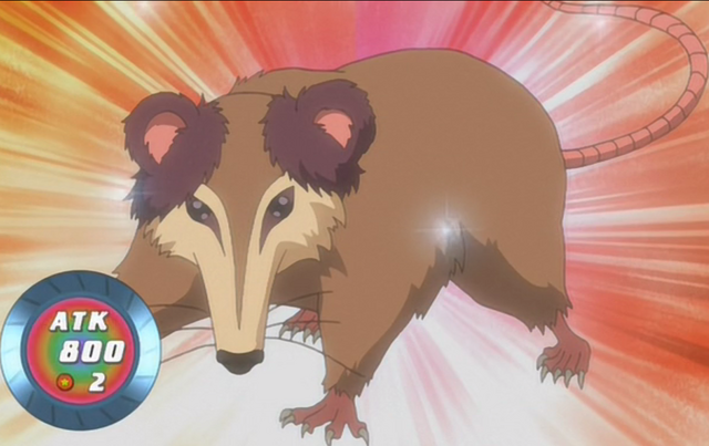 File:PlayfulPossum-JP-Anime-5D-NC.png
