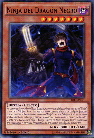 File:BlackDragonNinja-TDIL-SP-C-1E.png