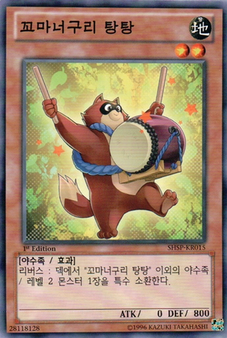 File:BabyRaccoonTantan-SHSP-KR-C-1E.png