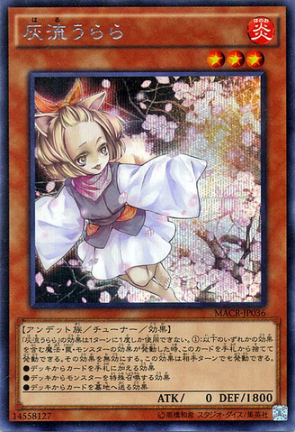 File:AshBlossomJoyousSpring-MACR-JP-ScR.png