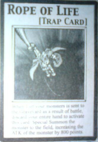 File:RopeofLife-EN-Manga.jpg