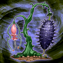 EvilThorn-TF04-JP-VG