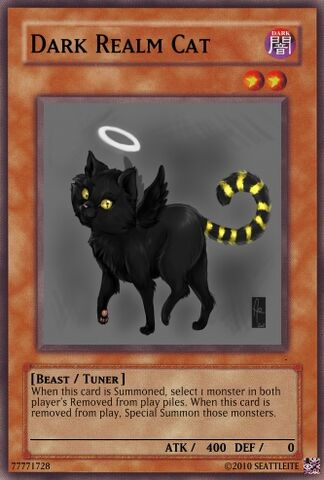 File:Dark Realm Cat.jpg