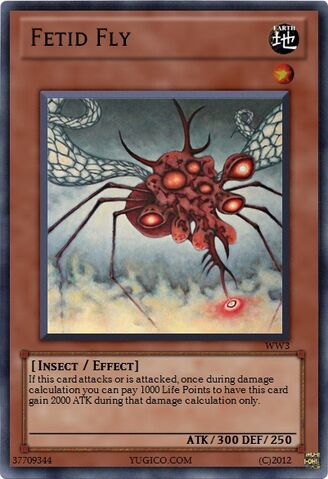File:FetidFly.jpg