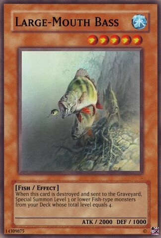 File:Large Mouth Bass.jpg