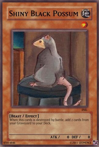 File:Shiny Black Possum.jpg