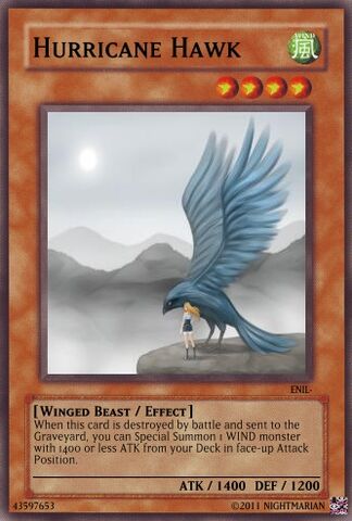 File:Hurricane Hawk.jpg