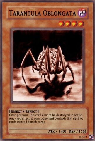 File:TarantulaOblongata.jpg