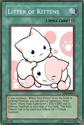 File:Littter of Kittens.jpg