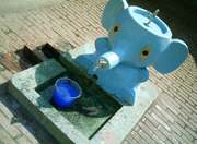 Seeing Pink Elephants