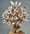 Madonna Lily