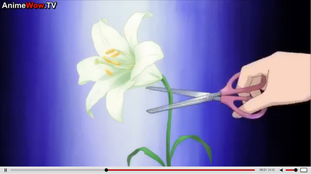 File:Episode 01 of 01.png