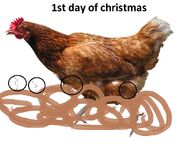 Chicken