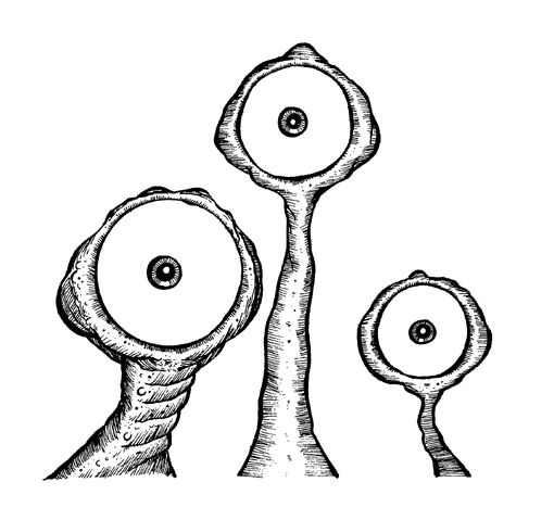 File:Booklings 02.jpg