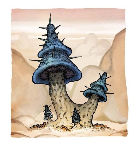 File:Muggroom.jpg