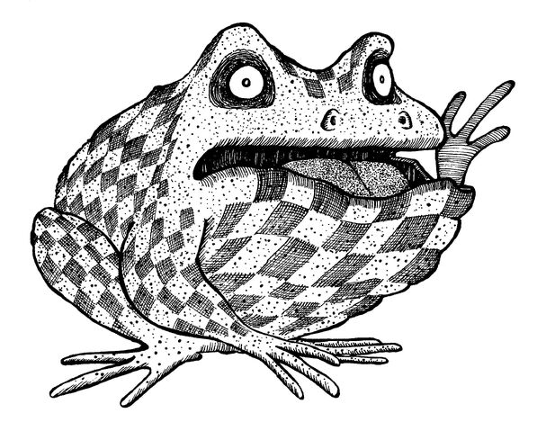 Datei:Schachunke.jpg