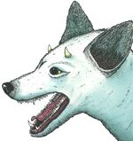 Rumo.jpg