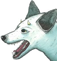Rumo.jpg