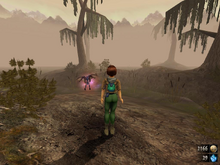 Misty swamp
