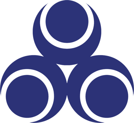 File:Mark of Nayru.png