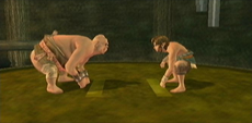 Sumo-Kampf (Twilight Princess)