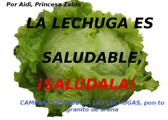Archivo:Campañadeayudalechuga.jpg