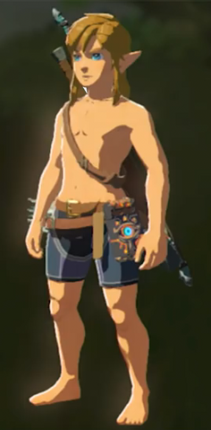 File:Breath of the Wild Armor Armorless Link (No Armor Equipped).png