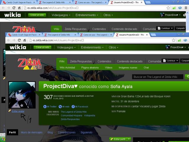 Archivo:Paso 1.jpg