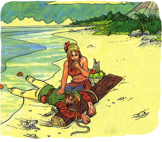 File:Marin finds Link.png