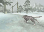 Snowpeak Beta