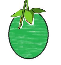 Fructum Cibus