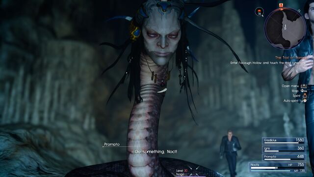 File:FF (1319).jpg