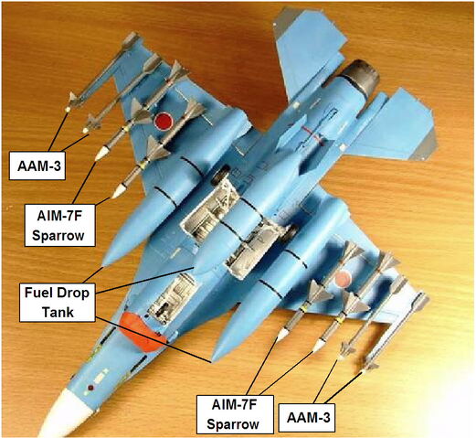 File:F2 ARMS.jpg