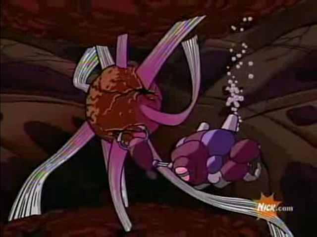 File:Arm control nerve.png