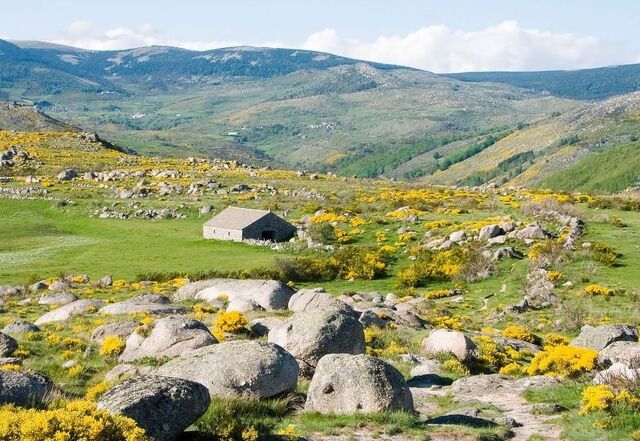Fichier:Mont Lozère.jpg