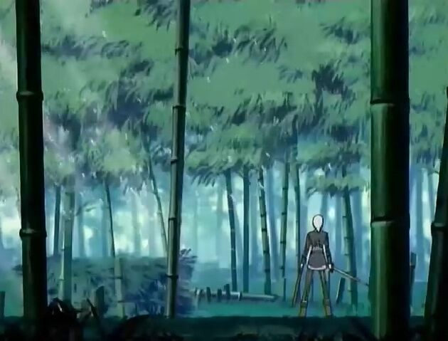 File:10 Genesis Seijuurou.jpg
