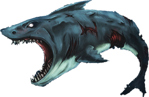 Zombie Shark