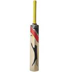 File:Cricket.jpg