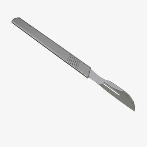 File:IS Scalpel TurboSquid LargeSig.jpg648e5cc4-2c67-41dd-ae6f-122992dfbb18Original.jpg