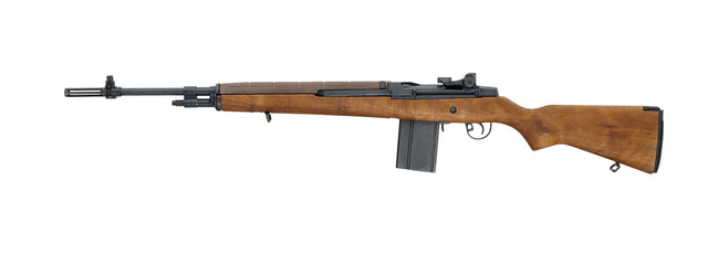 File:M14.gif