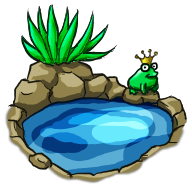 Pond