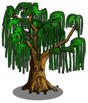 Willow Tree