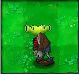 File:Split Pea Zombie-1-.jpg