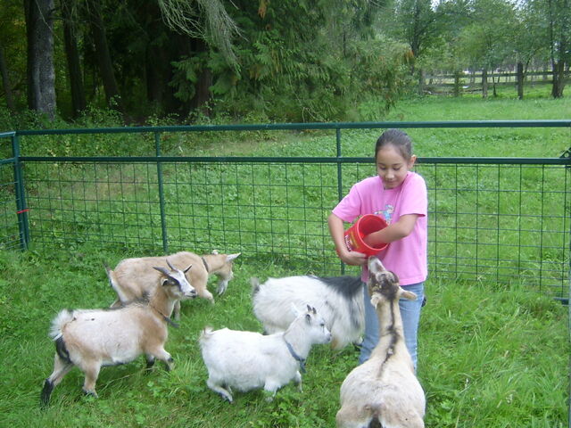 File:Emma in the Farm.jpg