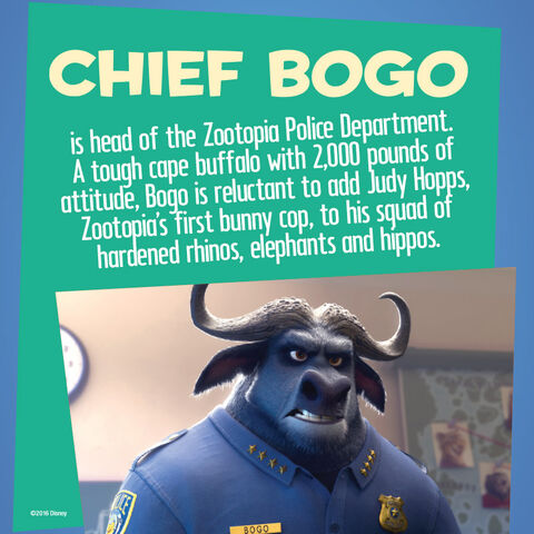 File:Bogo info.jpg