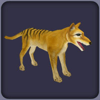 Thylacine | Zoo Tycoon Wiki | FANDOM powered by Wikia