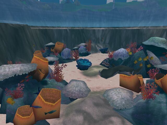File:Reef.jpg