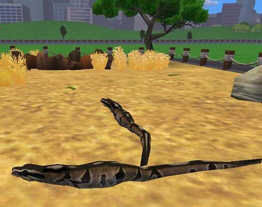 File:Snake.jpg