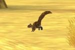 SquirrelAmbient