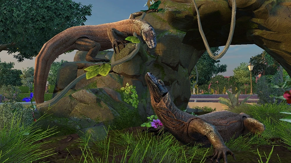 Collection Collection